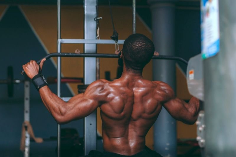 Muscular athlete performing dumbbell training for strength and muscle development